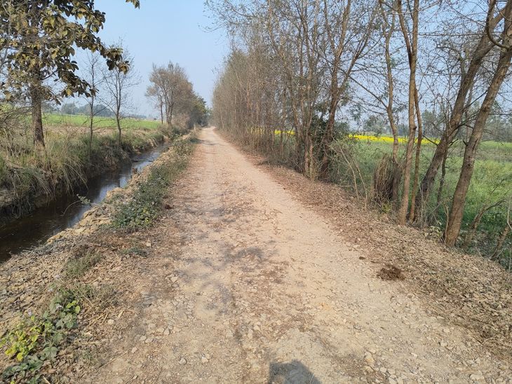 The road from National Highway to Gaura Chauraha in Uttaraula is ...