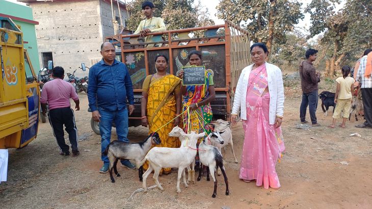 22 beneficiaries got goats from Chief Minister's livestock scheme ...