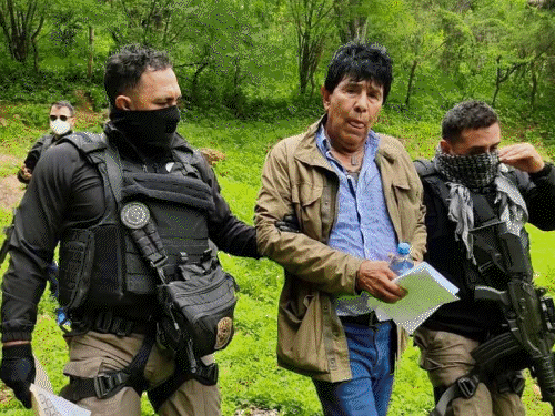 Mexico Drug Mafia Rafael Caro Quintero; US Agent Murder | Terrorist List | मेक्सिको ने 40 साल बाद अमेरिका को ड्रग माफिया सौंपा: 2500 एकड़ में गांजे की खेती, अमेरिकी एजेंट की हत्या; कुत्ते ने झाड़ी से पकड़ा