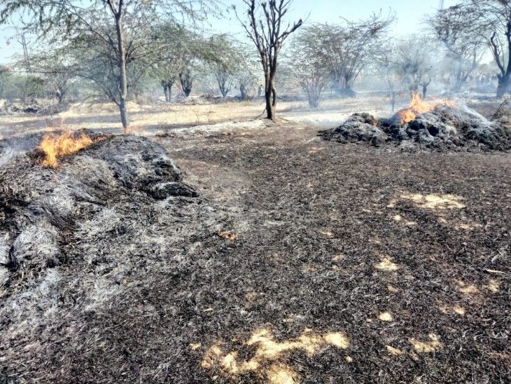 Fire broke out due to short circuit, 24 trolleys of fodder burnt ...