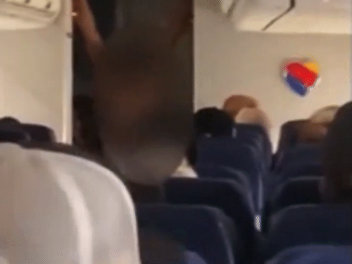 US Southwest Airlines Naked Passenger Viral Video | Phoenix Flight | प्लेन में महिला पैसेंजर ने कपड़े उतारे, हंगामा किया… VIDEO: 25 मिनट तक प्लेन के अंदर चीखती-चिल्लाती रही; फ्लाइट अटेंडेंट से अभद्रता की