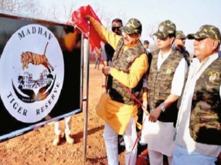 The country's third tiger reserve 'Madhav' where tigers have ...