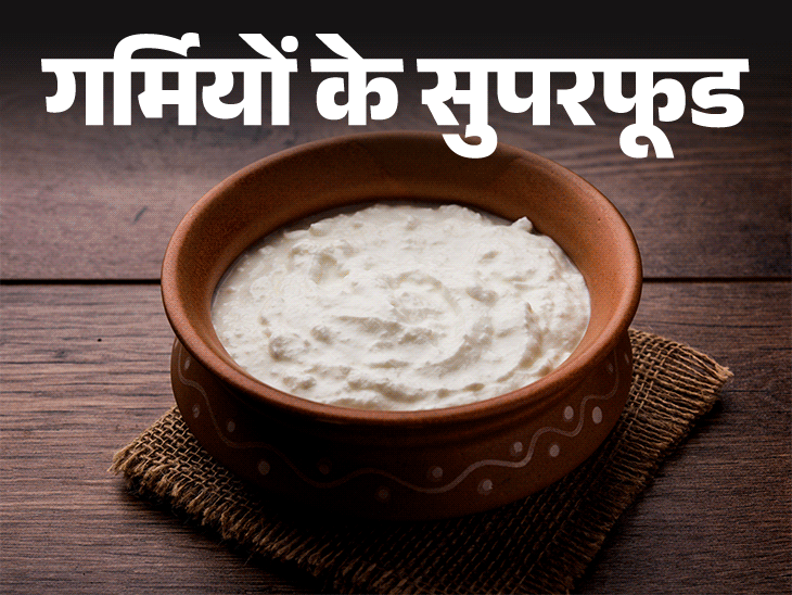 दही आरोग्य फायदे; (दही खाने के फेडे) | पौष्टिक मूल्य | ग्रीष्मकालीन सुपर फूड- दही खाऊन वाढणारी प्रतिकारशक्ती: कॅल्शियम आणि व्हिटॅमिन डीचे स्रोत, दहीचे फायदे जाणून घ्या, ज्याने खाऊ नये