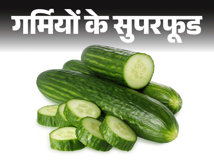 ग्रीष्मकालीन सुपरफूड; काकडी आरोग्य लाभ (खीरा खान के फेडे) | ग्रीष्मकालीन सुपरफूड- काकडीमध्ये %%% पाणी: हायड्रेटेड, वजन व्यवस्थापनात उपयुक्त आहे काकडी बियाणे खाणे सुरक्षित आहे का?