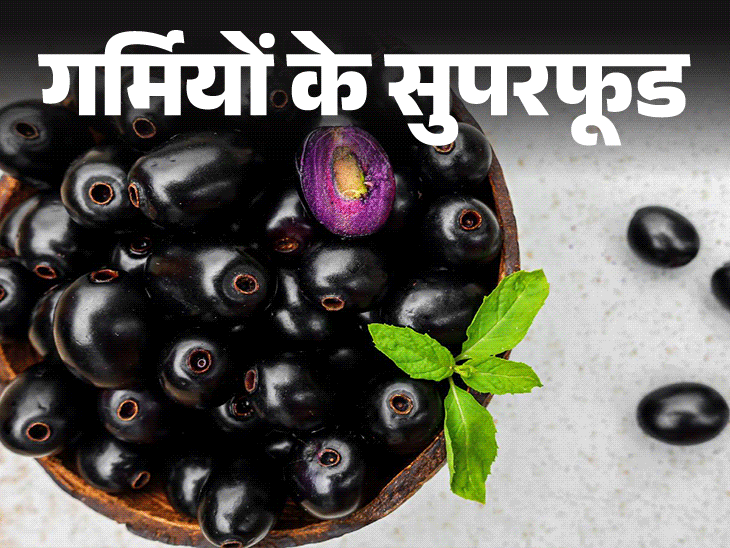 ग्रीष्मकालीन सुपरफूड; जामुन हेल्थ बेनिफिट्स (खान के फेडे) | ग्रीष्मकालीन सुपरफूड- मधुमेहातील रामबान जामुन: अशक्तपणा वाचवा, पचन पासून शिका, पोषणतज्ञ, त्यासंबंधित प्रत्येक महत्त्वाची वस्तुस्थिती