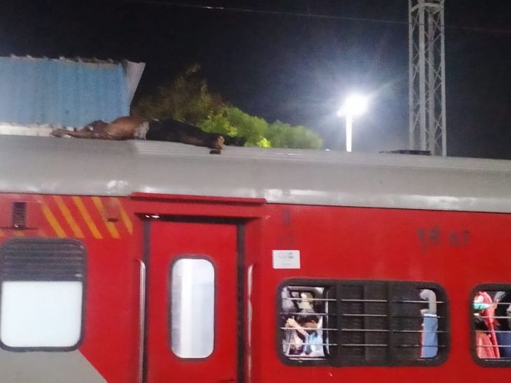 A person sleeping on the roof of a train got electrocuted