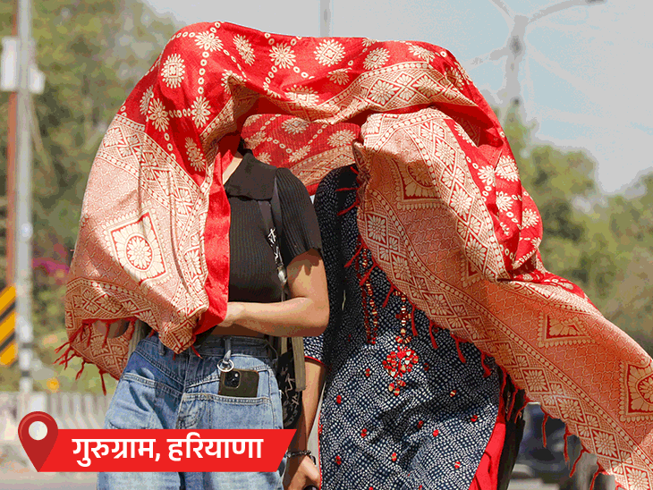 IMD Heatwave Warning 2025; MP Rajasthan | CG Odisha Weather Temperature Prediction | देश में इस साल हीटवेव के दोगुने दिन: 5-6 की जगह 10-12 लगातार लू चलेगी: राजस्थान, MP समेत नॉर्थ-वेस्ट राज्यों में सबसे ज्यादा असर