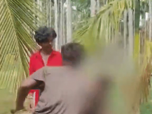 Karnataka Hakkipikki Adivasi Boy Torture Viral Video | Channagiri | कर्नाटक में आदिवासी लड़के को पेड़ से बांधकर पीटा: अंडरवेयर में लाल चीटियां डाली; वीडियो वायरल होने पर उसी समुदाय के 9 लोग गिरफ्तार