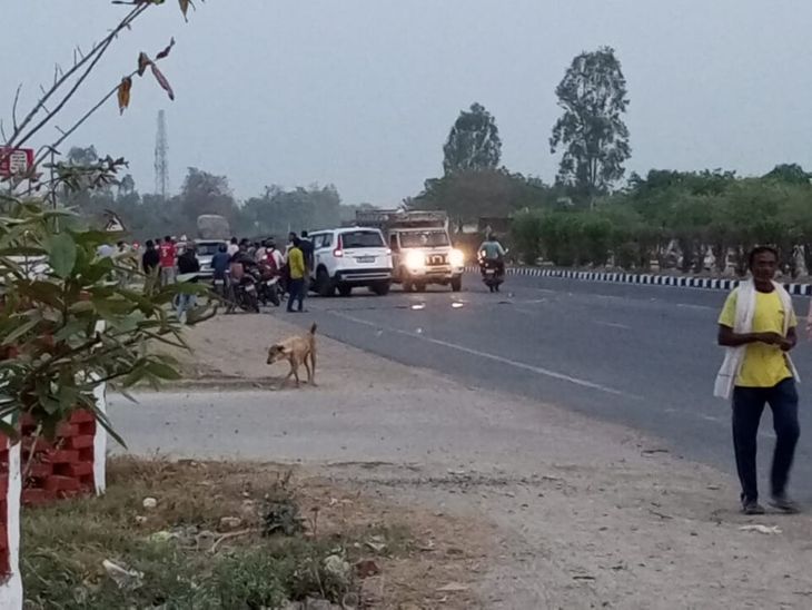 Collision between car and bull in Maharajpur | महाराजपुर में कार और ...