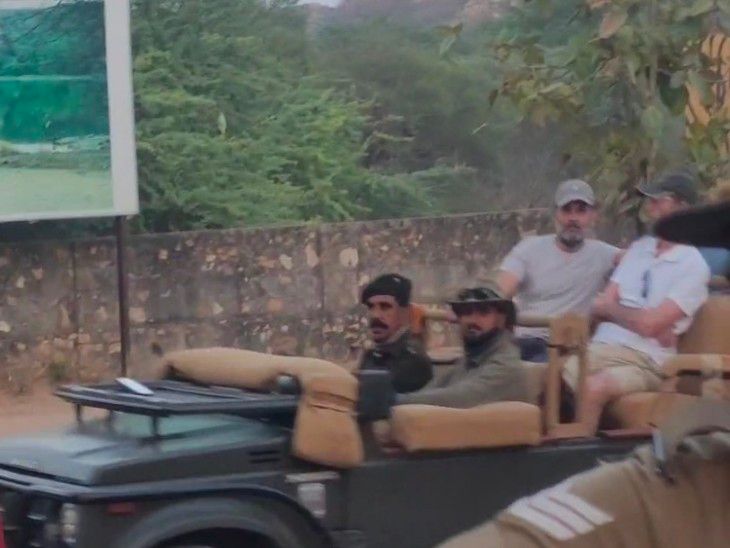 Rahul Gandhi did a tiger safari in Ranthambore | राहुल गांधी ने की रणथम्भौर में टाइगर सफारी: बाघिन ऐरोहेड व उसके शावकों को अठखेलियां करते देख रोमांचित हुए – Sawai Madhopur News