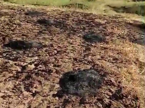 A huge fire broke out in a farmer's crop in Mahoba