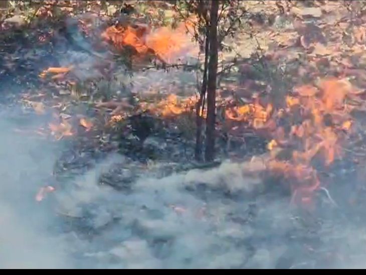 The fire spread for 3 kilometers in Lalitpur