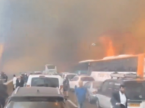 Israel Jerusalem Wildfire Video Update; Army | Eshtaol Forest | इजराइल में यरुशलम के बाहरी इलाकों में आग लगी: लोग सड़कों पर वाहन छोड़कर भागे; सरकार ने सेना को तैनात किया, कई इलाके खाली कराए