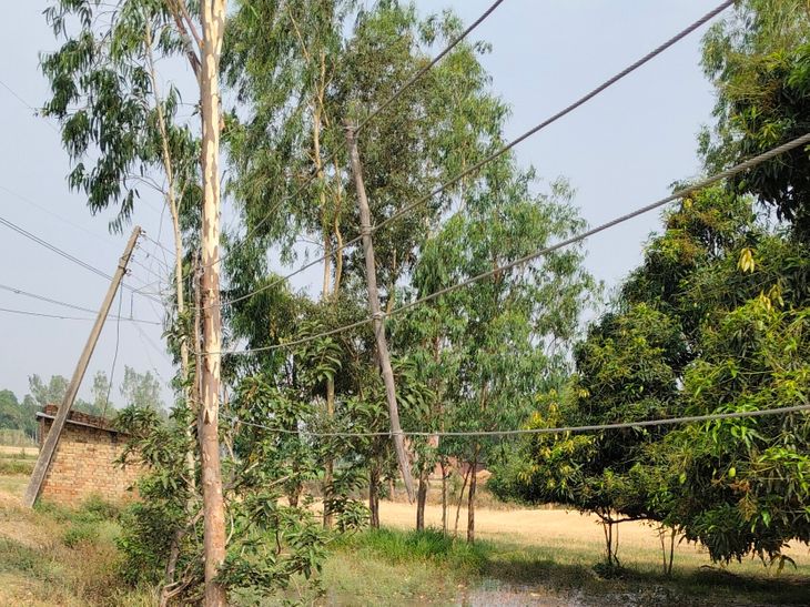 Electric poles and wires pose a danger