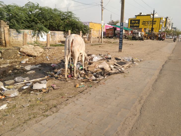 Due to lack of monitoring system at the municipal corporation level ...