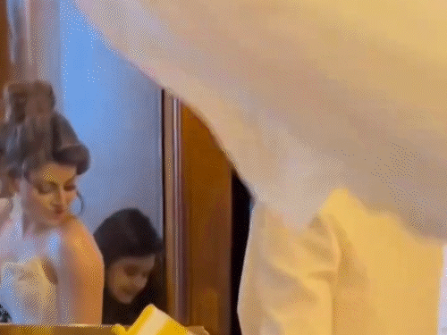 Urvashi Rautela's Cannes 2025 Mishap: 25-Minute Revolving Door Drama! news image