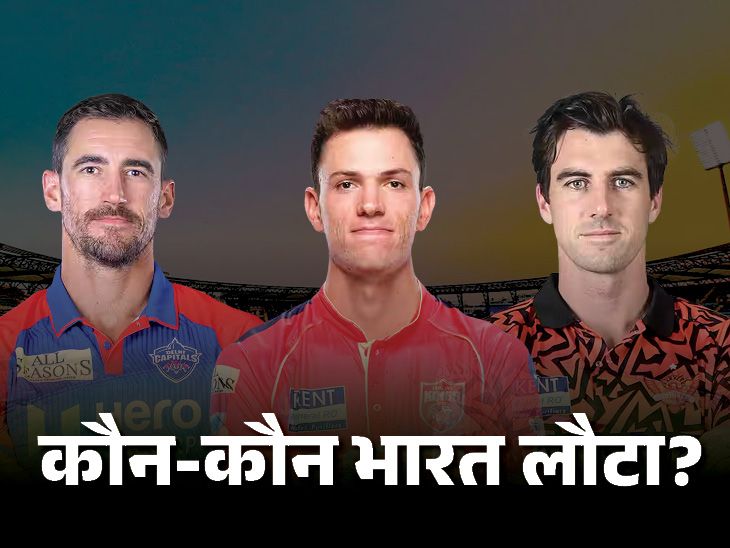 कितने विदेशी IPL खेलने लौटे:मोईन, स्टार्क और हेजलवुड का खेलना मुश्किल; RCB का हिस्सा बने सॉल्ट, शेफर्ड और बेथेल news image