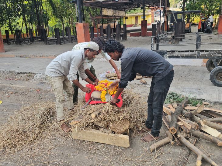 MP's Heartwarming Act: Shajapur Youths Give Monkey a Proper Funeral news image