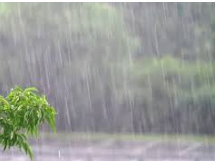 Due to rain and thunder in Ghughli, farmers' paddy sowing stopped ...