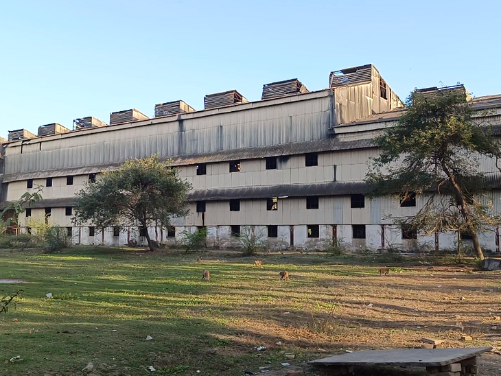 MP Morena Sugar Factory Auction Sparks Outrage: Farmers to Protest! news image