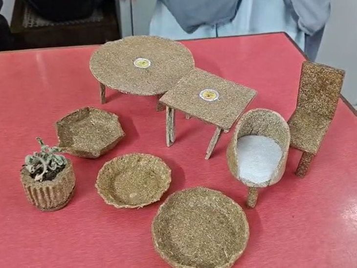 MP Students' Straw Innovation Wins Big! news image