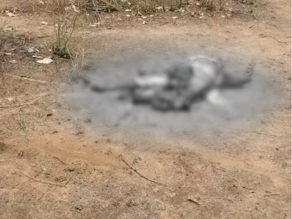 Image shows aftermath of elephant attack in India. Three people tragically killed. Rescue and recovery efforts are in progress.