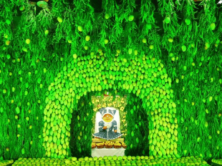 A photograph of a huge pile of mangoes offered at an Indore temple, weighing a record 1100kg.  Devotees celebrate the generous offering during a mango festival.