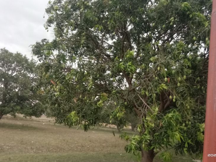 mood of weather changed in Itwa