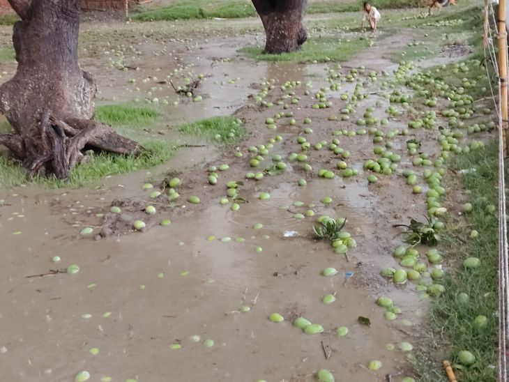 Strong wind and rain wreak havoc in Lakhimpur Kheri | लखीमपुर खीरी में ...