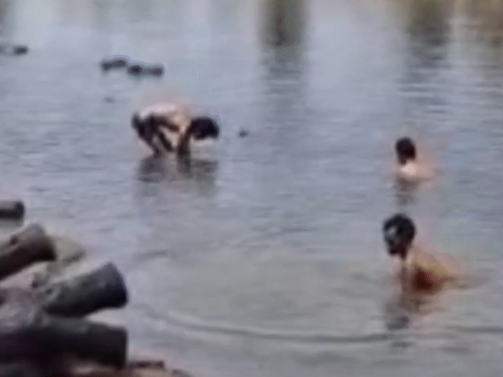 Image related to the recent seizure of 35 quintals of wood in Gwalior, Madhya Pradesh.  Illegal logging crackdown. Forest department action.