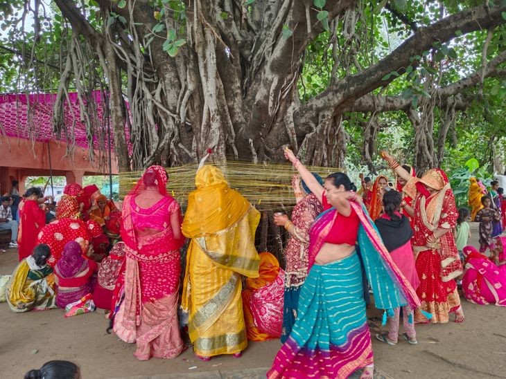 Worship of Banyan tree on Vat Savitri Vrat