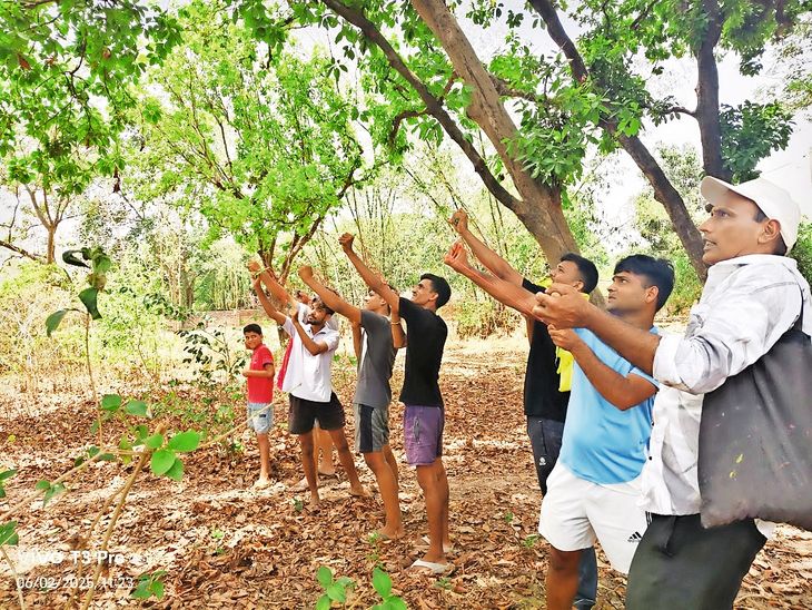 Green Commando threw 500 seed balls in the forest of Bihar, plants will ...