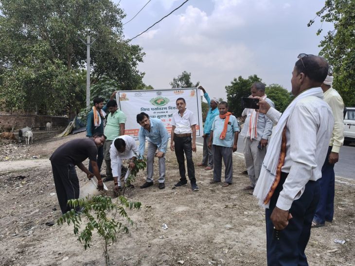 Special initiative in Belsar on World Environment Day