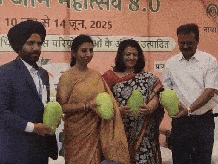 You will get naturally ripened mangoes