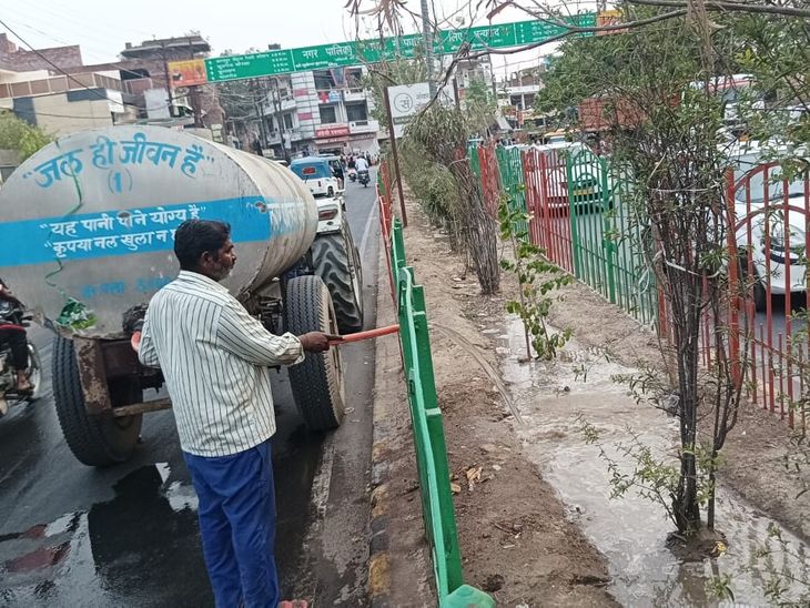 The puzzle of saving trees from heat in Shuklaganj