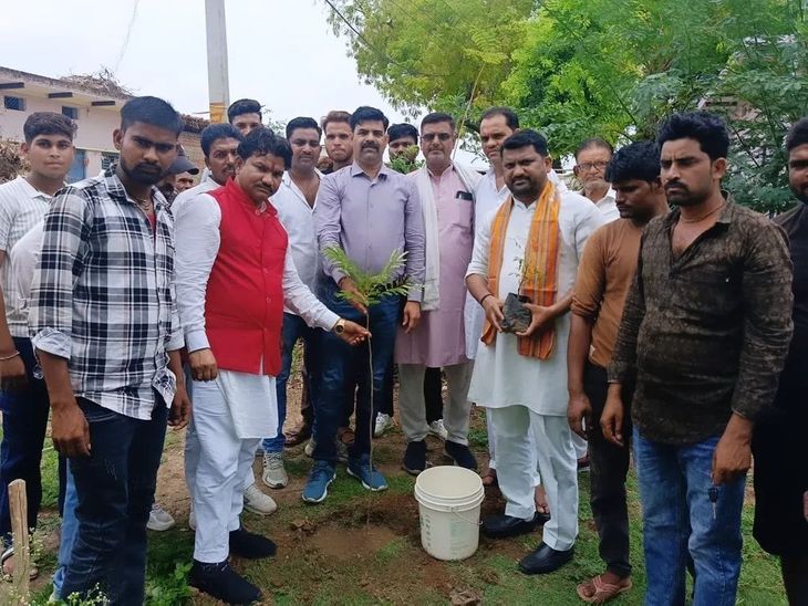 Every person must plant a tree in his life: District President | हर ...