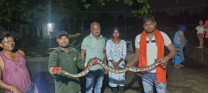 A 10 feet long python that entered the house was rescued and released ...