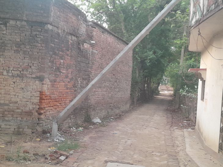 Electricity pole broken due to falling of tree in storm | आंधी में पेड़ ...