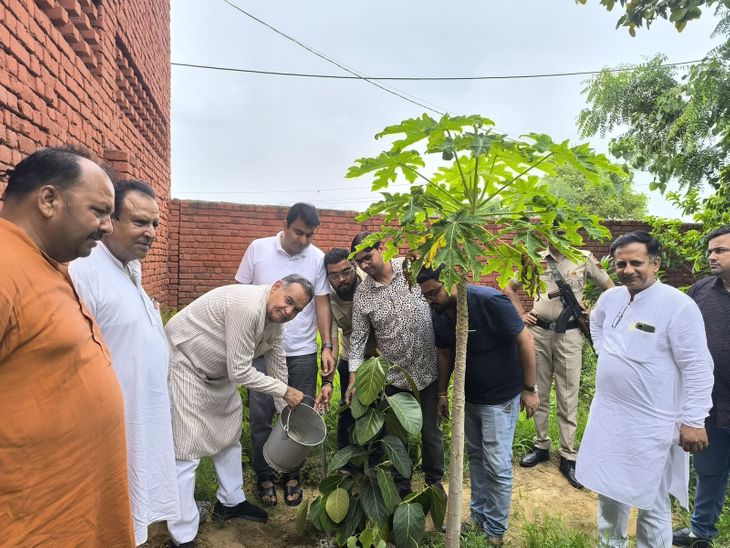Hisar Hansi MLA Celebrates Syama Prasad Birth Anniversary | Plants ...