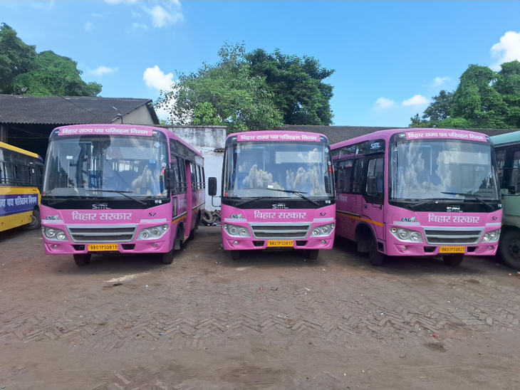 Pink buses will run in the districts from September