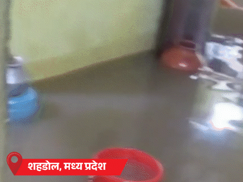 हिमाचल-17 दिन में 19 बार बादल फट, 82 की मौत:MP के शहडोल में 24 घंटे में 4 इंच बारिश, 3 हजार घरों में पानी भरा- INA NEWS