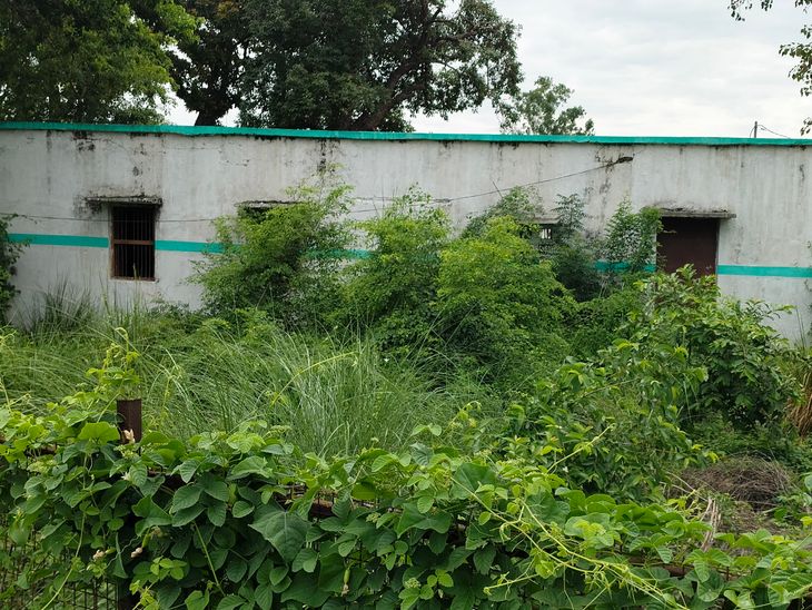 Plan to provide fresh vegetables in mid day meal fails | मिड डे मील में ...