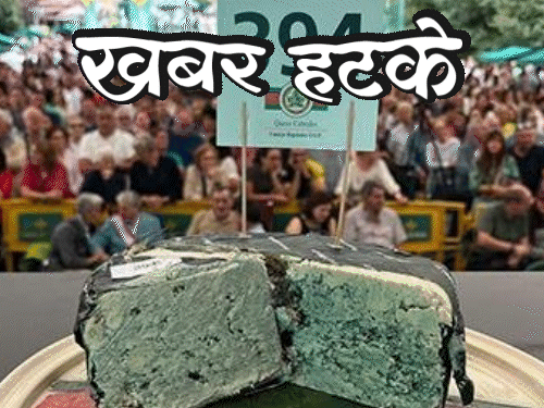 News different- Paneer sold for 36 lakhs, world’s most expensive | खबर हटके-36 लाख में बिका पनीर, दुनिया का सबसे महंगा: जमीन से निकला हीरा, मजदूर लखपति बना; रिकॉर्ड बनाने के लिए खुद को लगाई आग