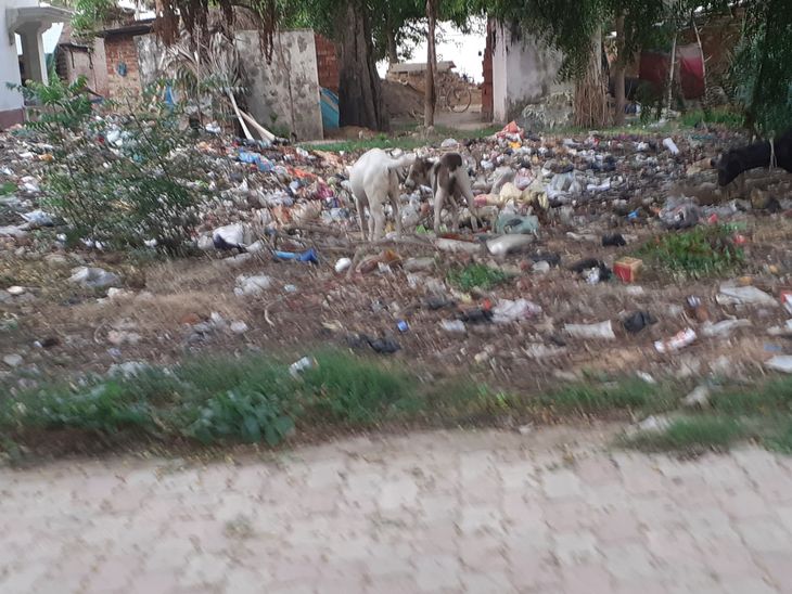 Sanitation system has collapsed in Baghudi village of Ballia | बलिया के ...