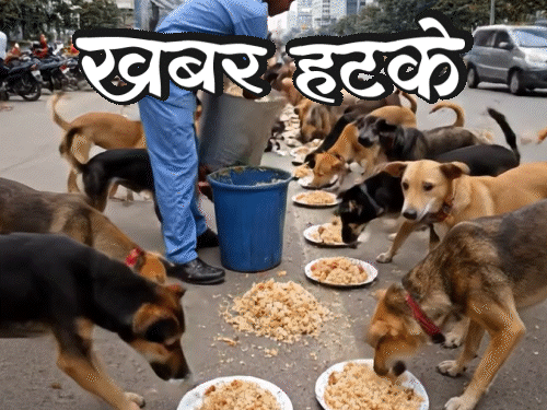 खबर हटके- आवारा कुत्तों को बिरयानी खिलाएगी सरकार:19 साल से विश्व युद्ध की तैयारी कर रहा शख्स; जानिए दिनभर की 5 रोचक खबरें- INA NEWS