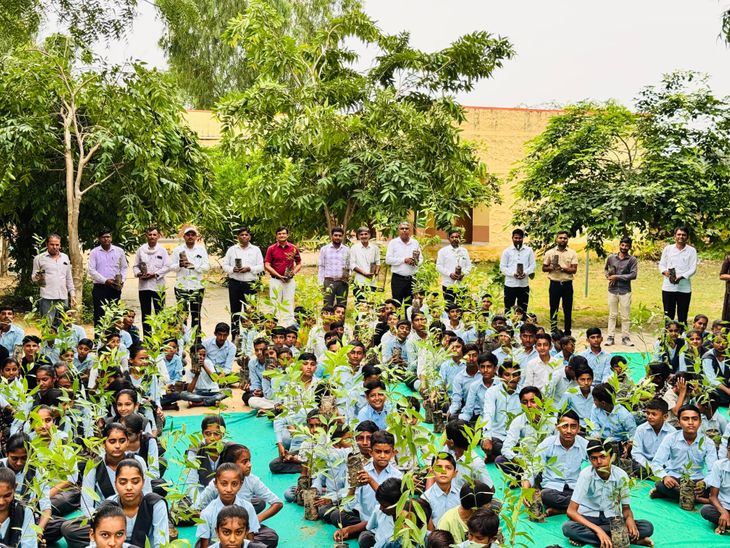 Distribution of 2400 plants in 8 schools of Raniwada | रानीवाड़ा के 8 ...