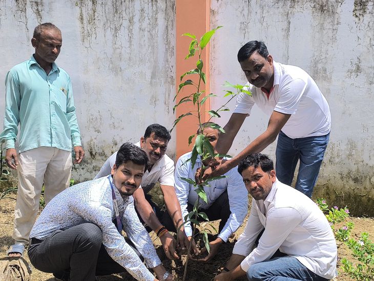 SBI branch Ghaghsara planted trees in three villages