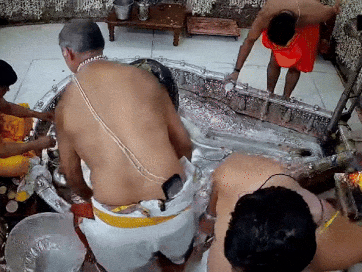 Ignoring the rules, the MLA forcibly entered the sanctum sanctorum of Mahakal | महाकाल मंदिर के गर्भगृह में जबरन घुसा विधायक का बेटा: पिता गोलू शुक्ला के साथ तीन लोगों ने दर्शन किए; कर्मचारी से भी कहासुनी हुई – Ujjain News