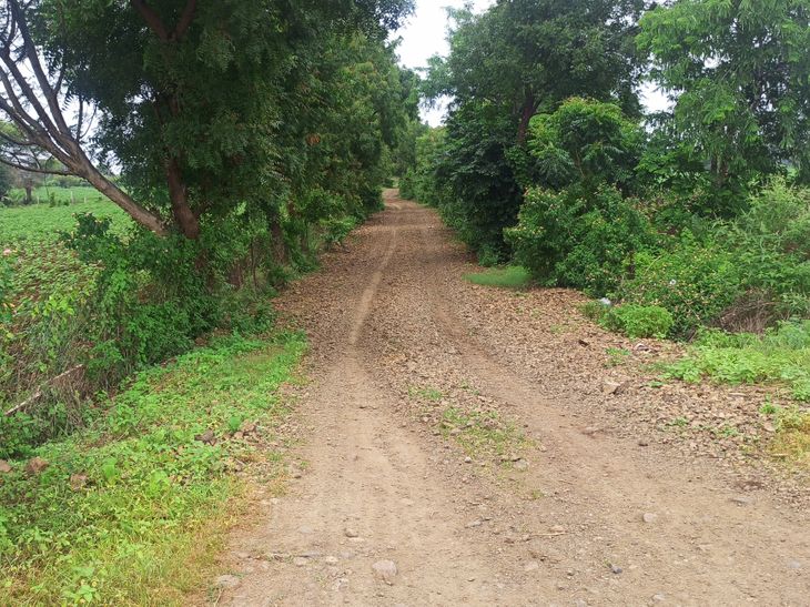 40 kutcha roads approved in Manawar and 101 in Umarban