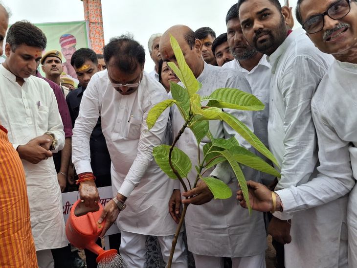 11 lakh trees planted in Bhilwara on Hariyali Teej